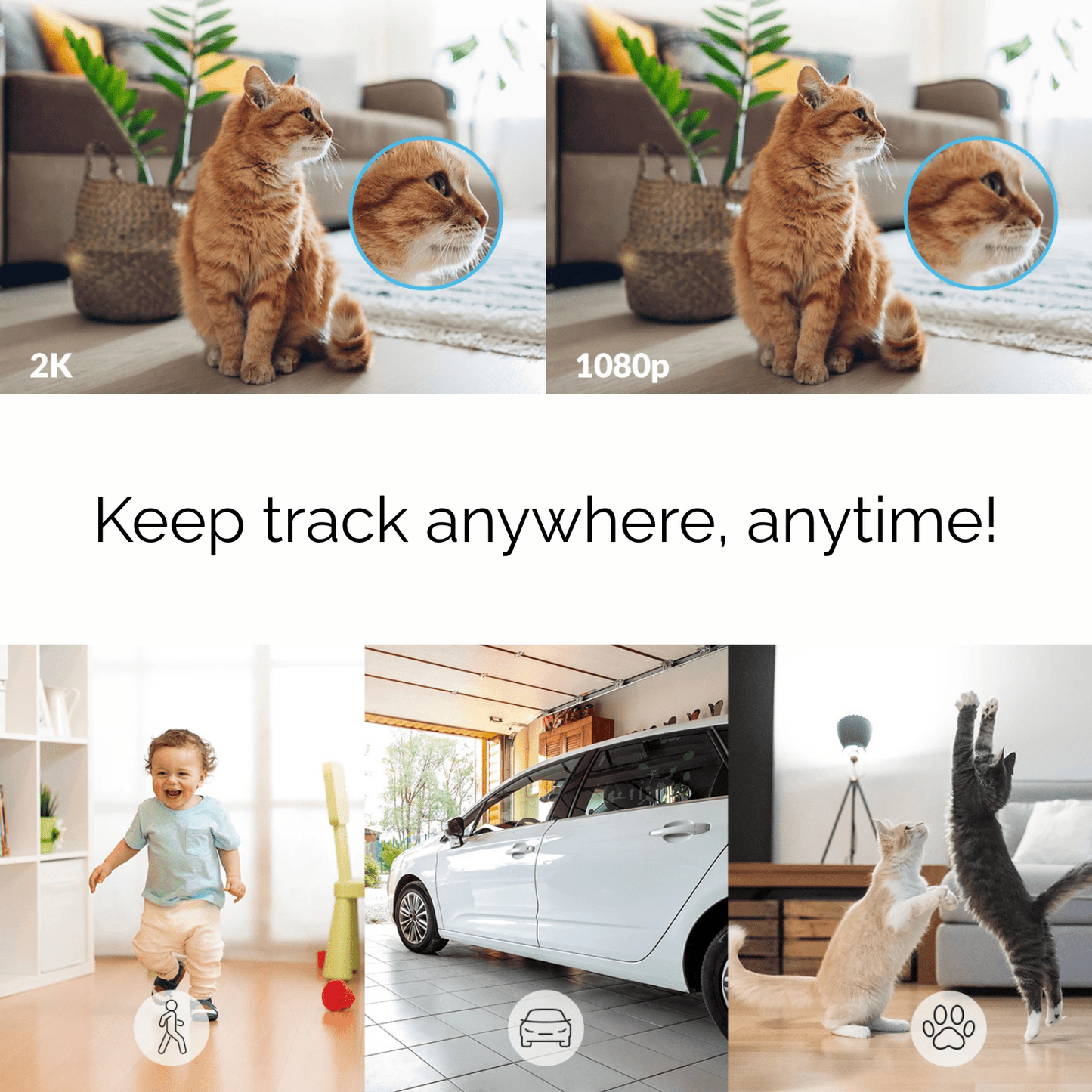 Slimme Huiscamera – Voor je Huisdier