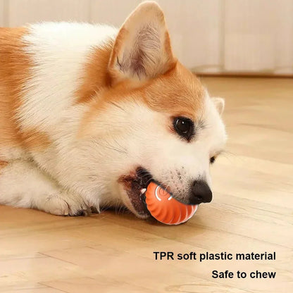 Smart Bal – Elektrisch Rollend Speelgoed voor Honden en Katten