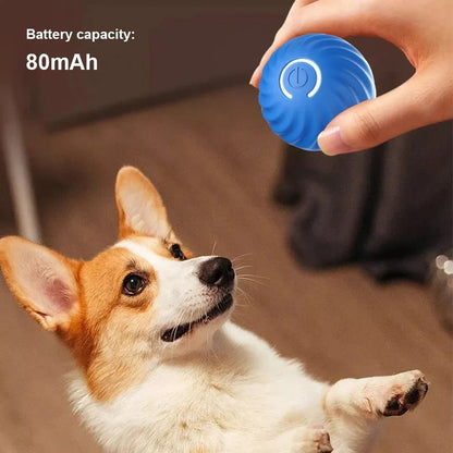 Smart Bal – Elektrisch Rollend Speelgoed voor Honden en Katten