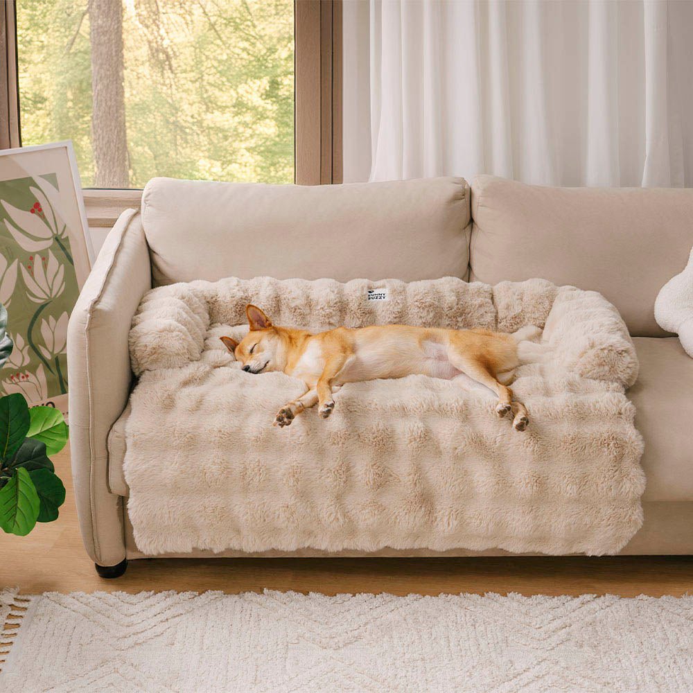 CozyGuard™ Sofa Bed