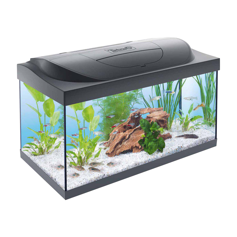 Tetra Startpaket - 54 L