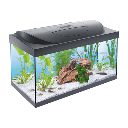 Tetra Startpaket - 54 L