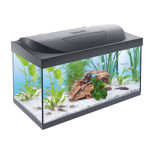 Tetra Startpaket - 54 L