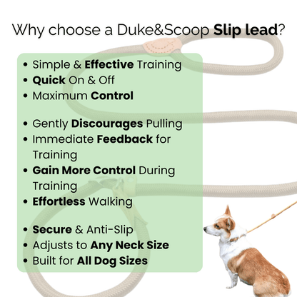 Sterke Instelbare Sliphalslijn