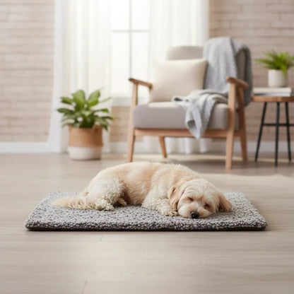 CozyHeat - Zelfverwarmend Huisdiermat – Pluche Hond & Kat Bed - Comfortabel Slaapmatje