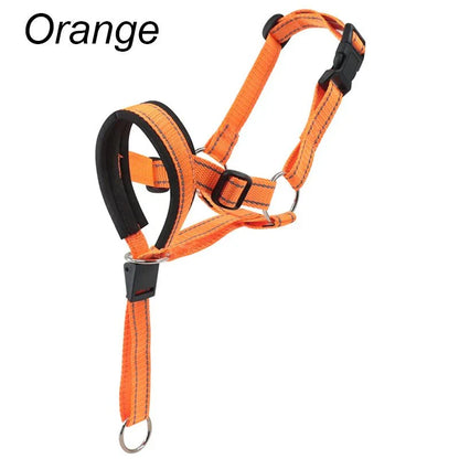 Training Muilkorf - Halti Stijl