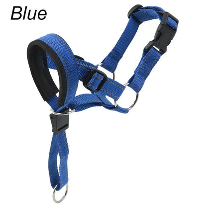 Training Muilkorf - Halti Stijl