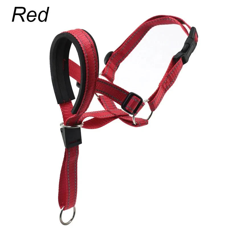 Training Muilkorf - Halti Stijl