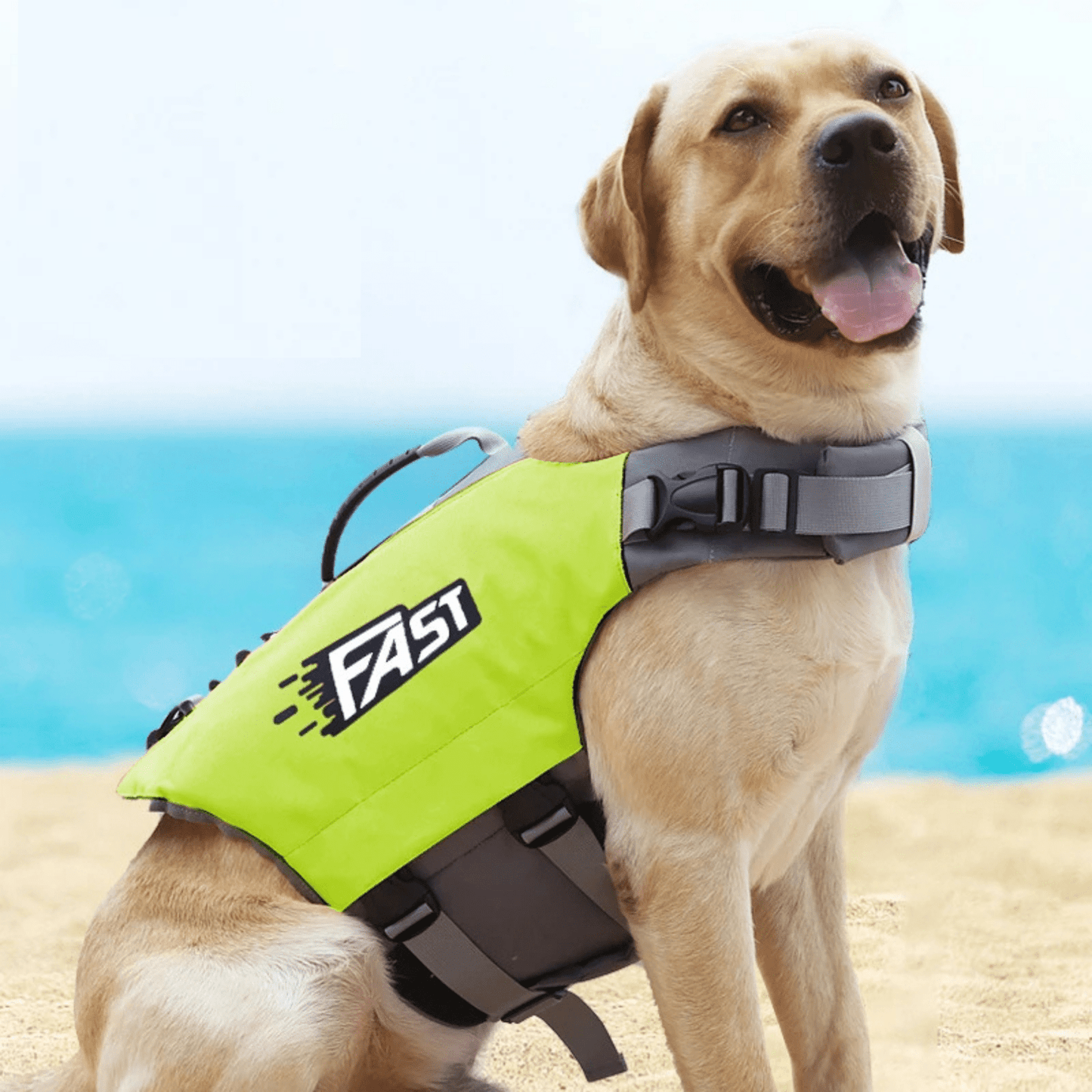 SeaSaver Pet Life Jacket