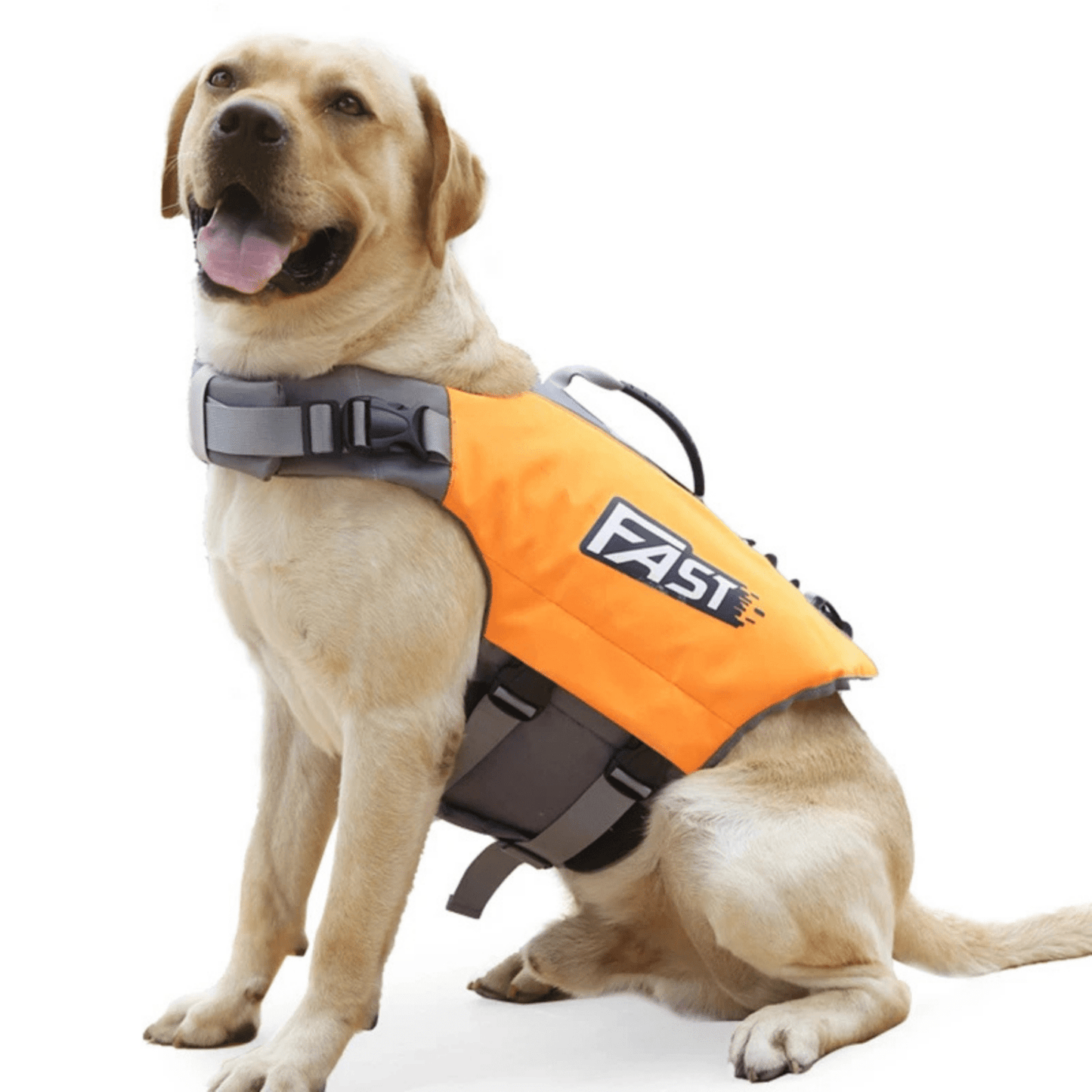 SeaSaver Pet Life Jacket