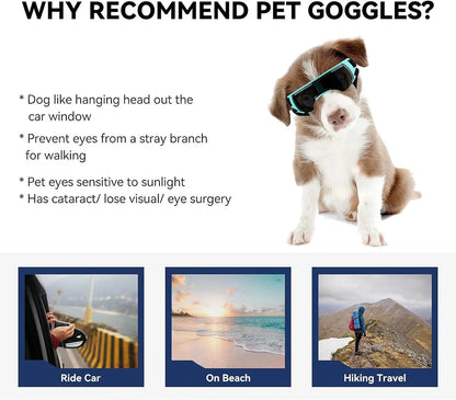 UV-Beschermende Dierenbril