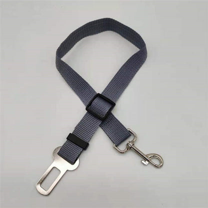 Honden Autoriem