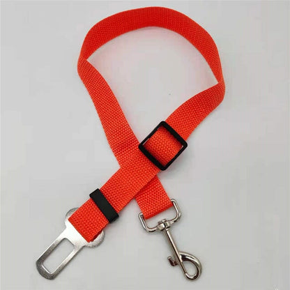 Honden Autoriem