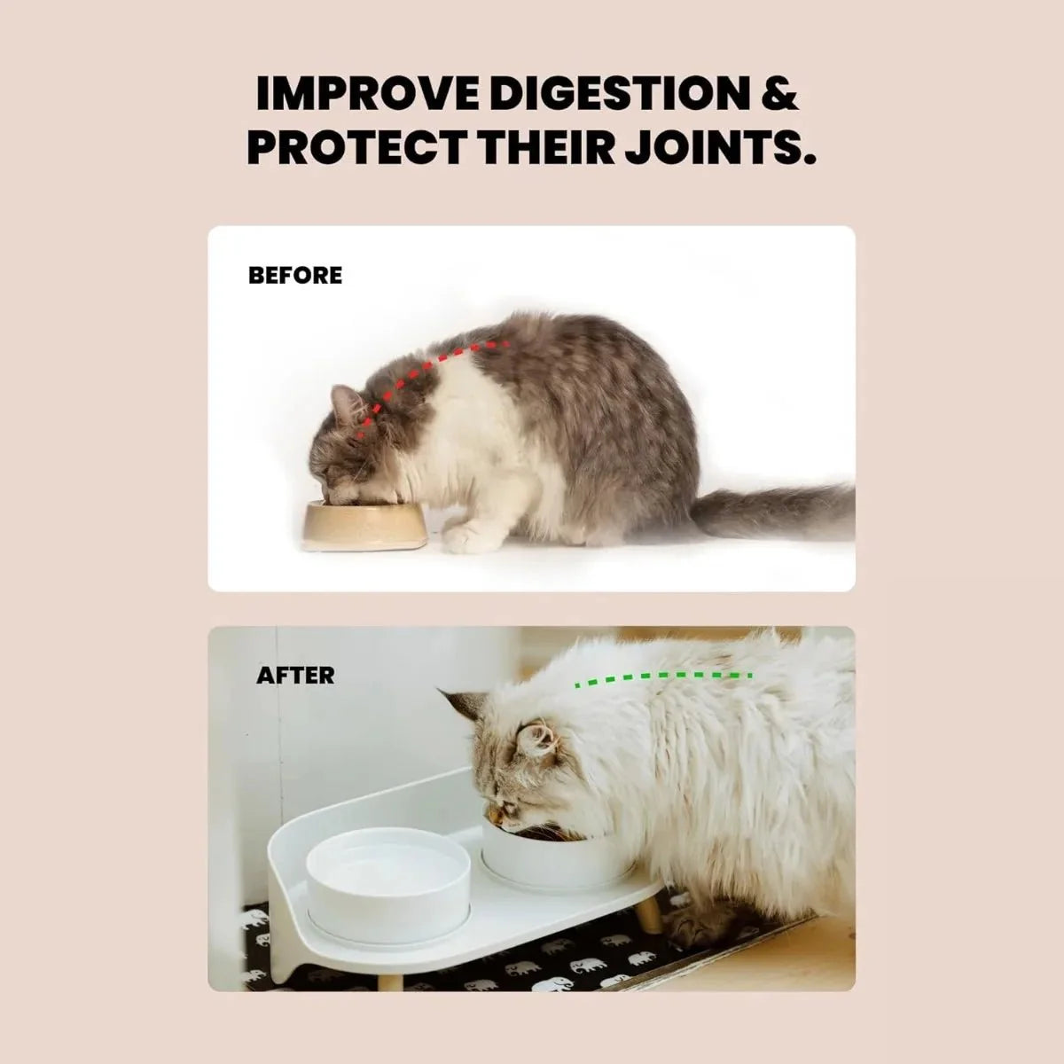 Verhoogde Honden & Kattenbak