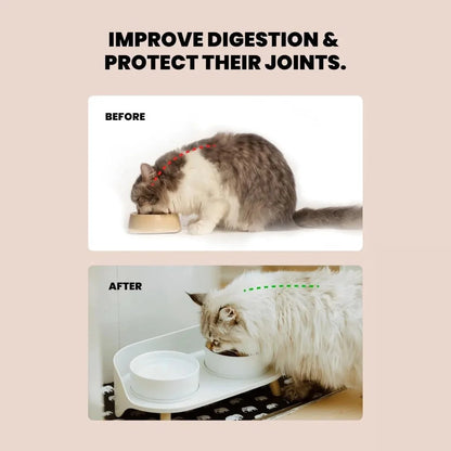 Verhoogde Honden & Kattenbak