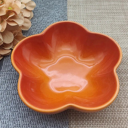 Verhoogde Keramische Voerbak