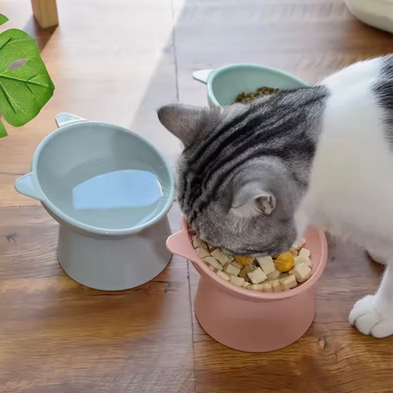 Verhoogde Voerbak met Oortjes