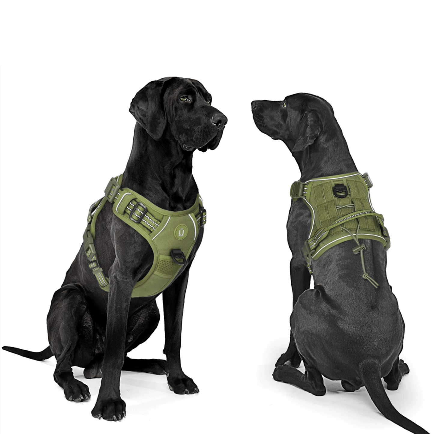 Verstelbaar Anti-Trek Tuig met MOLLE Systeem