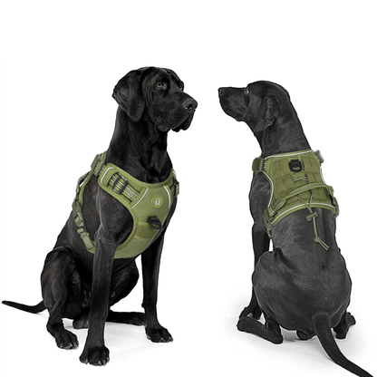 Verstelbaar Anti-Trek Tuig met MOLLE Systeem