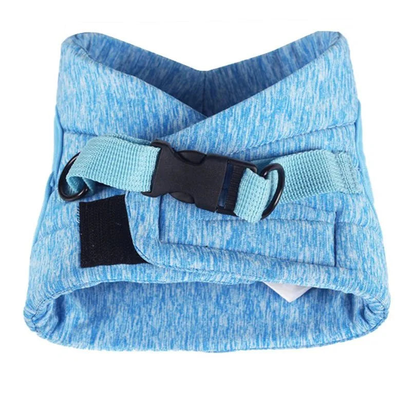 Verstelbaar Harnas & Riem Set