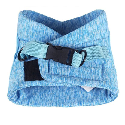 Verstelbaar Harnas & Riem Set