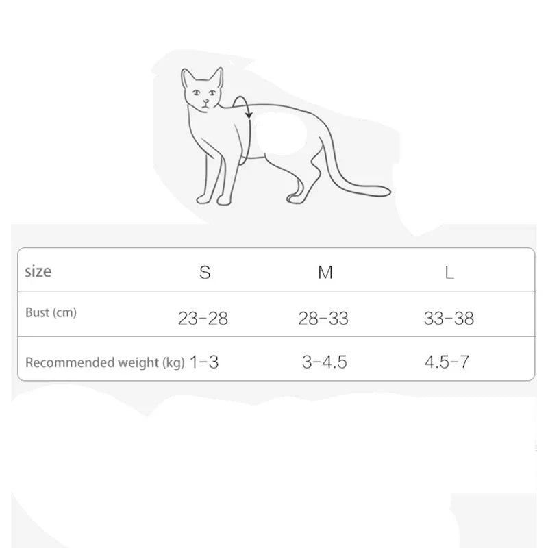 Verstelbaar Harnas & Riem Set