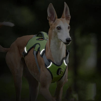 Verstelbaar Oxford Tuig