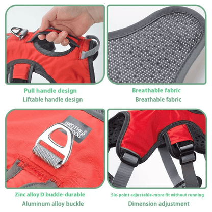 Verstelbaar Oxford Tuig