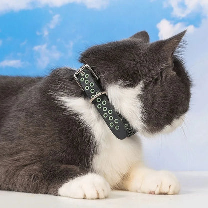 Verstelbare Anti-Vlooien Band