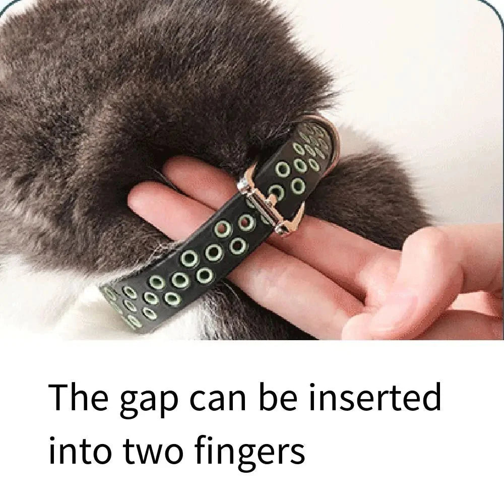 Verstelbare Anti-Vlooien Band