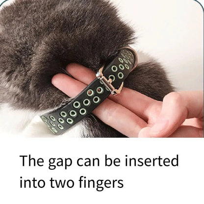 Verstelbare Anti-Vlooien Band