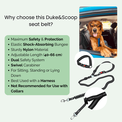 Verstelbare Autogordel met Sterke Karabijnhaak