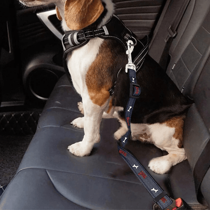 Verstelbare Autogordel voor Honden