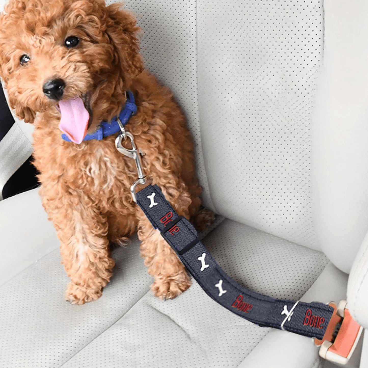 Verstelbare Autogordel voor Honden