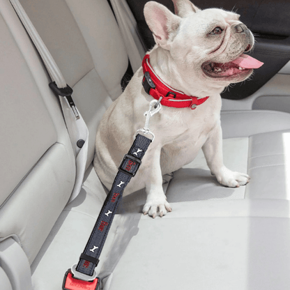 Verstelbare Autogordel voor Honden