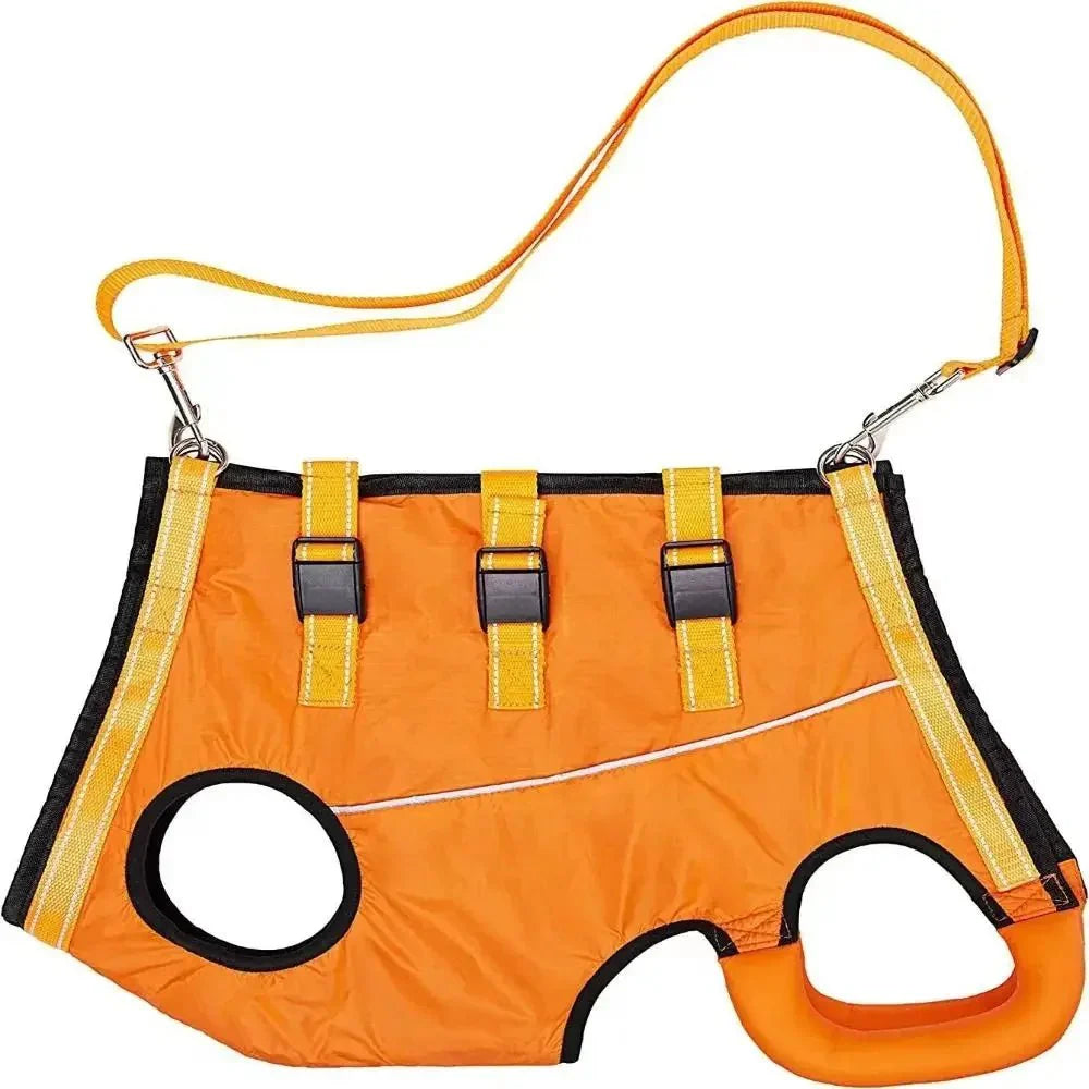 Verstelbare Honden Draagband voor Ondersteuning