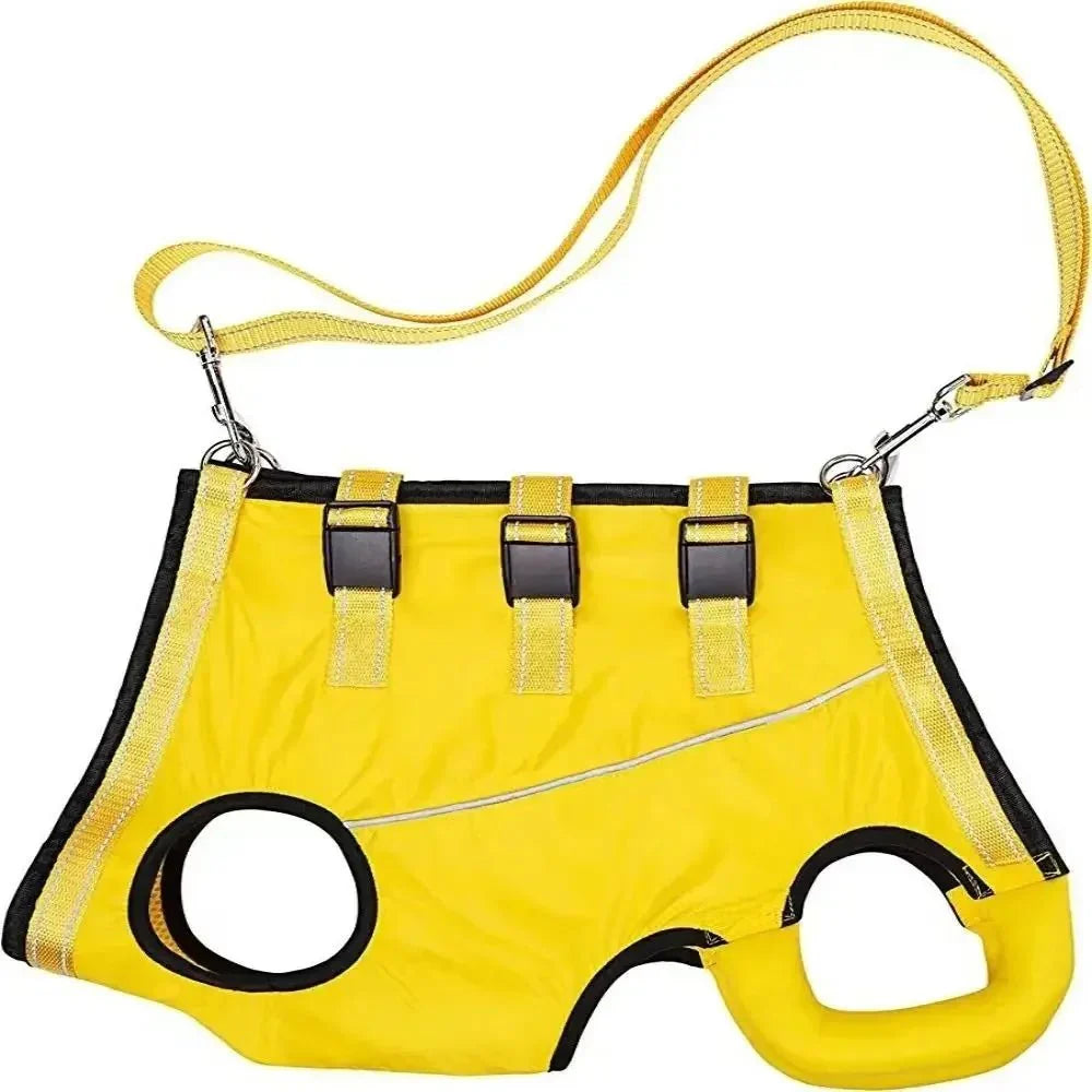 Verstelbare Honden Draagband voor Ondersteuning