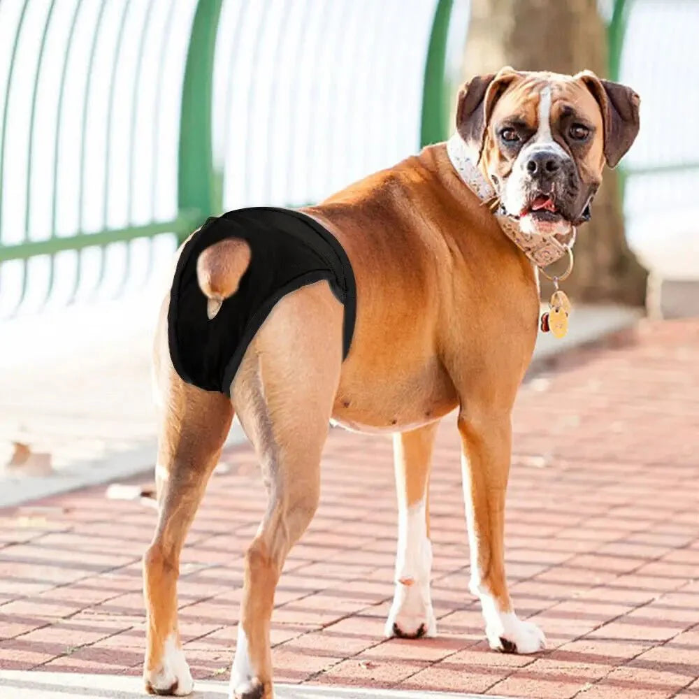 Verstelbare Hygiënebroek voor Honden