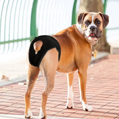 Verstelbare Hygiënebroek voor Honden