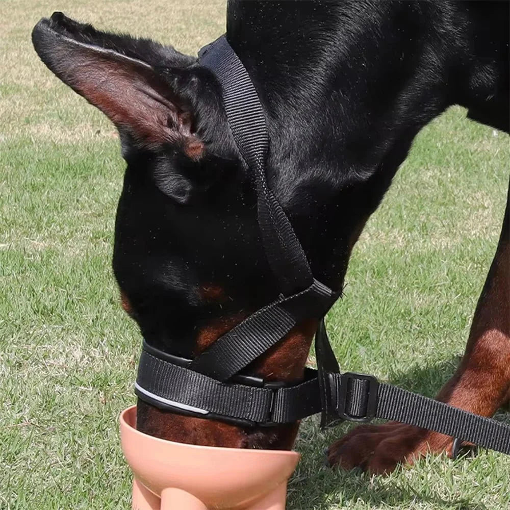 Verstelbare Muilkorf Halti-Stijl