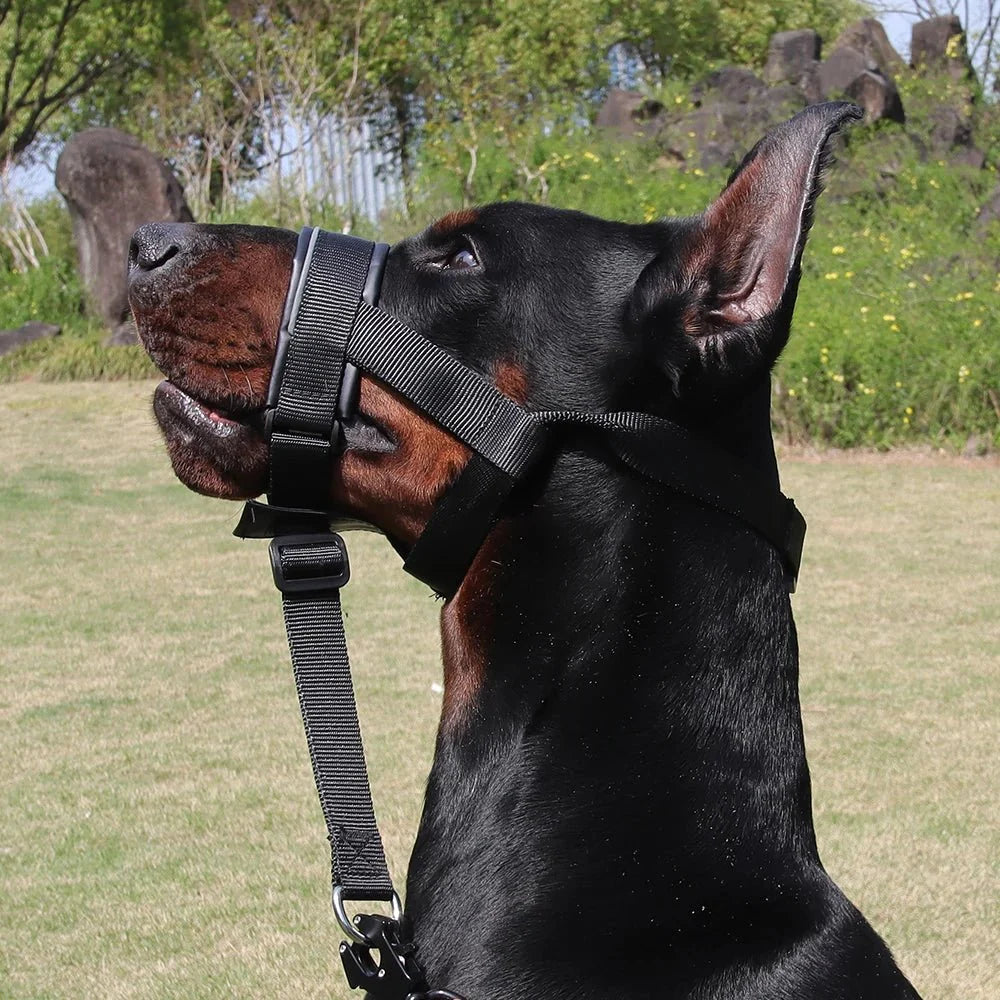 Verstelbare Muilkorf Halti-Stijl