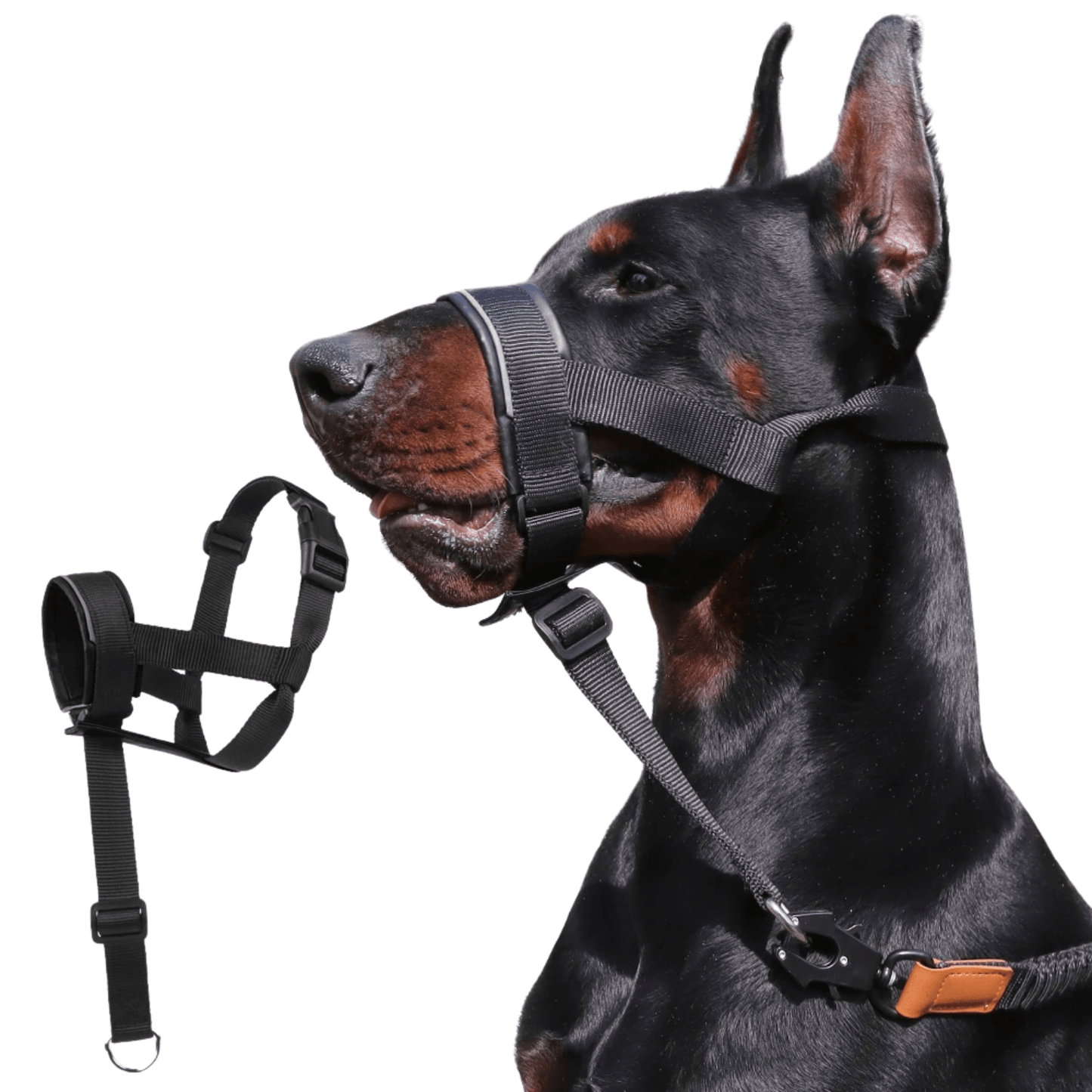 Verstelbare Muilkorf Halti-Stijl