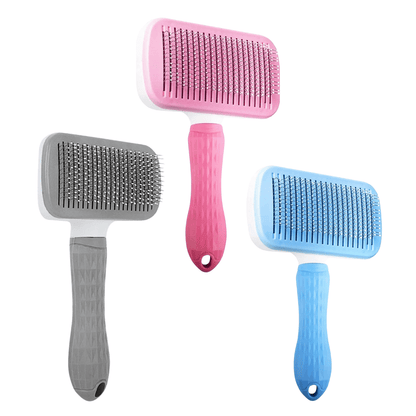 Verzorging Bundel 2.0