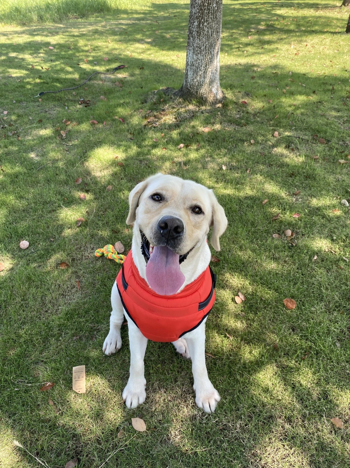 Warme Winterjas voor Honden met Ingebouwd Harnas