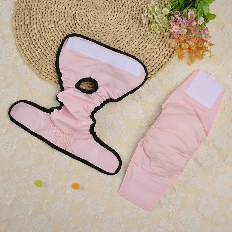 Wasbare Honden LoopsheidLuier