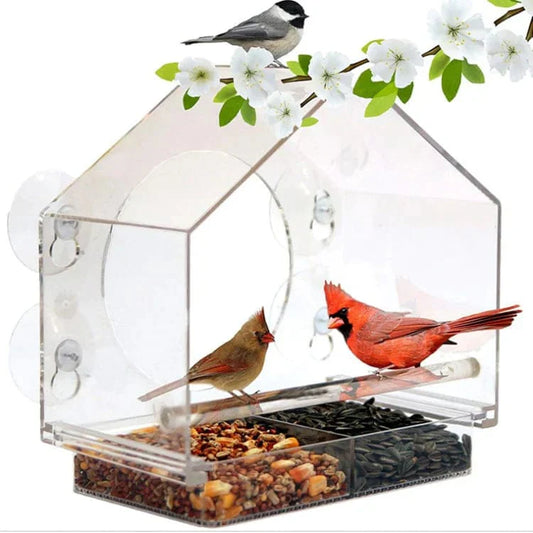 Window Bird Feeder