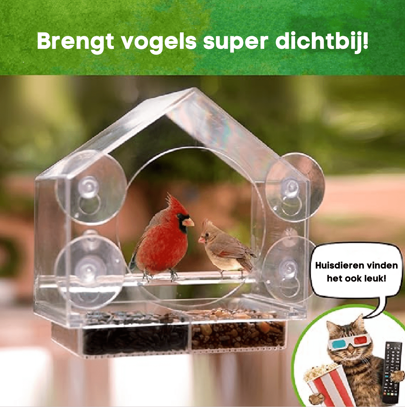 Window Bird Feeder