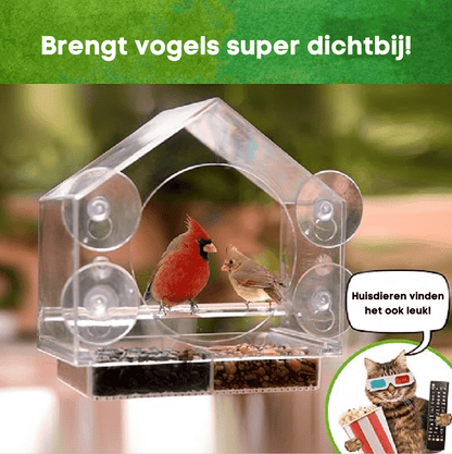 Window Bird Feeder
