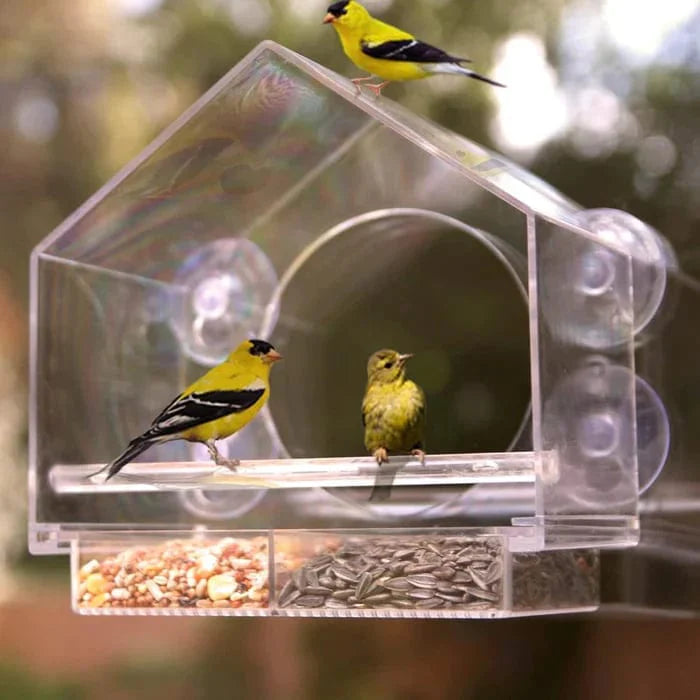 Window Bird Feeder