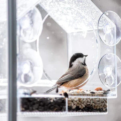 Window Bird Feeder